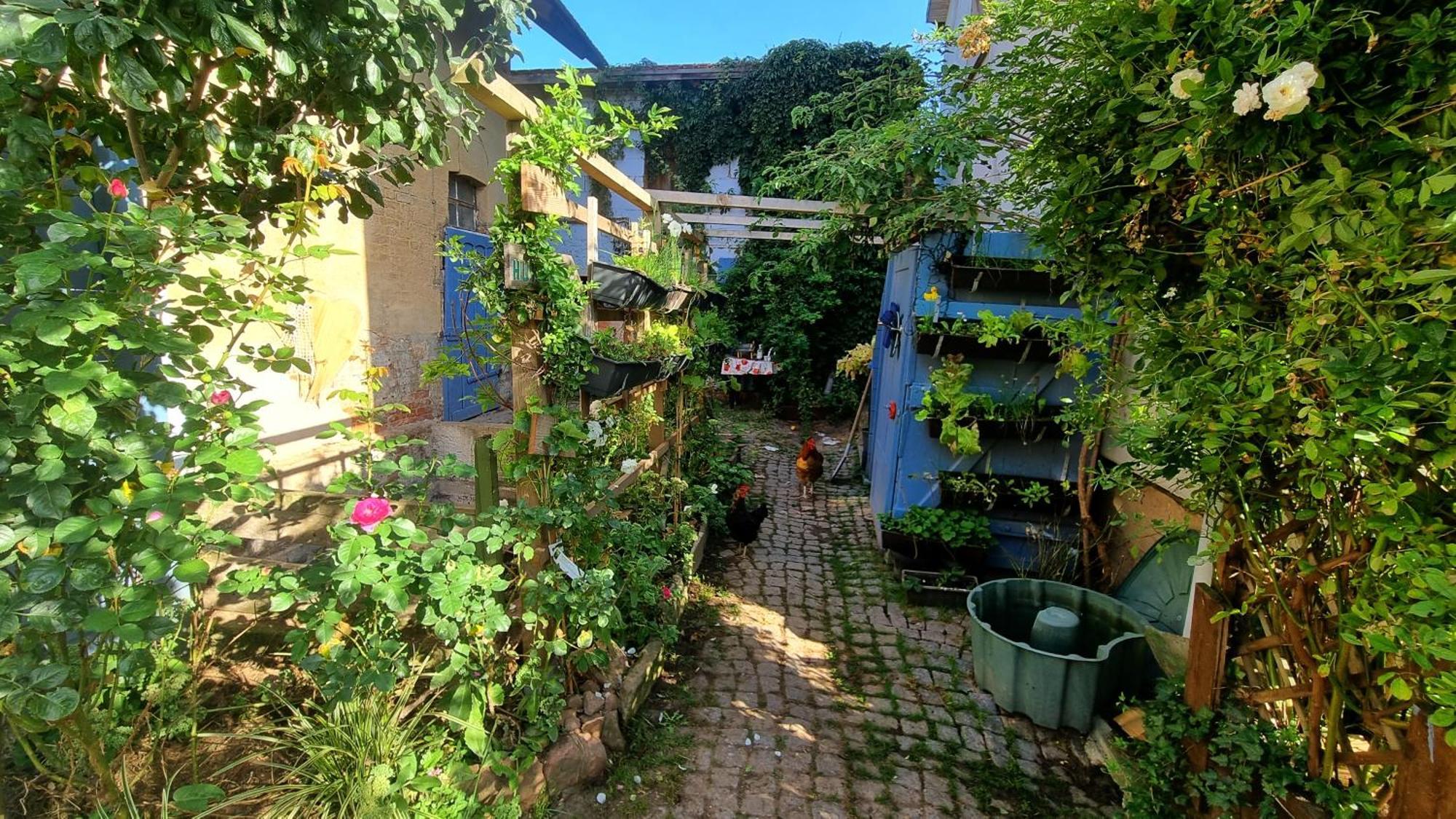 Bauernhof Privatzimmer Hortus Sandrine Gemeinschaftsbad Free Wifi Hausbreitenbach Экстерьер фото
