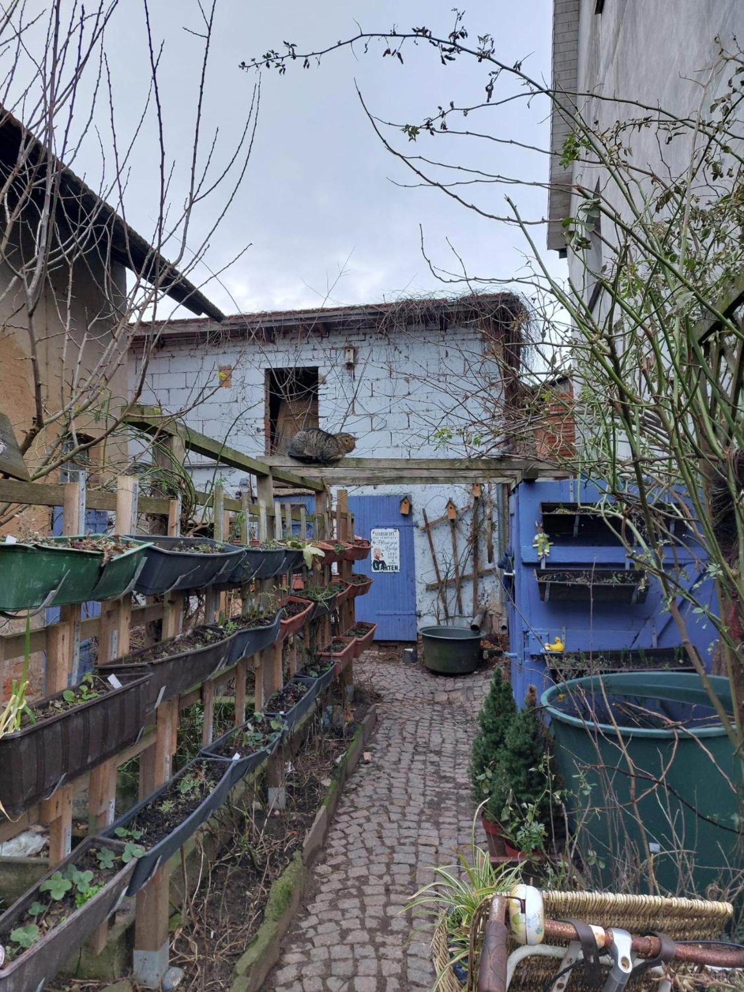 Bauernhof Privatzimmer Hortus Sandrine Gemeinschaftsbad Free Wifi Hausbreitenbach Экстерьер фото
